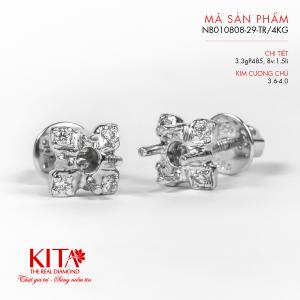 Vỏ Bông Tai Kim Cương